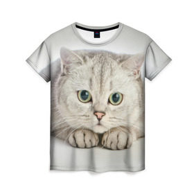 Женская футболка 3D с принтом Британец 6 в Петрозаводске, 100% полиэфир ( синтетическое хлопкоподобное полотно) | прямой крой, круглый вырез горловины, длина до линии бедер | британец | британская | британцы | кот | котенок | котик | котэ | кошка