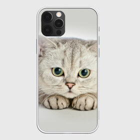 Чехол для iPhone 12 Pro Max с принтом Британец 6 в Петрозаводске, Силикон |  | Тематика изображения на принте: британец | британская | британцы | кот | котенок | котик | котэ | кошка