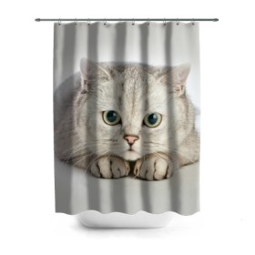 Штора 3D для ванной с принтом Британец 6 в Петрозаводске, 100% полиэстер | плотность материала — 100 г/м2. Стандартный размер — 146 см х 180 см. По верхнему краю — пластиковые люверсы для креплений. В комплекте 10 пластиковых колец | Тематика изображения на принте: британец | британская | британцы | кот | котенок | котик | котэ | кошка