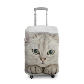 Чехол для чемодана 3D с принтом Британец 6 в Петрозаводске, 86% полиэфир, 14% спандекс | двустороннее нанесение принта, прорези для ручек и колес | британец | британская | британцы | кот | котенок | котик | котэ | кошка