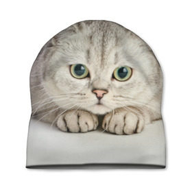 Шапка 3D с принтом Британец 6 в Петрозаводске, 100% полиэстер | универсальный размер, печать по всей поверхности изделия | британец | британская | британцы | кот | котенок | котик | котэ | кошка