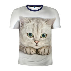 Мужская футболка 3D спортивная с принтом Британец 6 в Петрозаводске, 100% полиэстер с улучшенными характеристиками | приталенный силуэт, круглая горловина, широкие плечи, сужается к линии бедра | Тематика изображения на принте: британец | британская | британцы | кот | котенок | котик | котэ | кошка