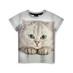 Детская футболка 3D с принтом Британец 6 в Петрозаводске, 100% гипоаллергенный полиэфир | прямой крой, круглый вырез горловины, длина до линии бедер, чуть спущенное плечо, ткань немного тянется | британец | британская | британцы | кот | котенок | котик | котэ | кошка