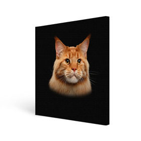Холст квадратный с принтом Мейн-кун 6 в Петрозаводске, 100% ПВХ |  | кот | котенок | котик | котэ | кошка | мейн кун | мейнкун | мэйн кун | мэйнкун