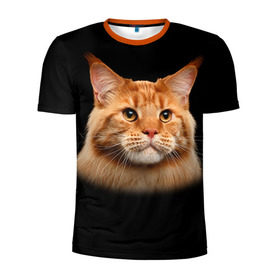 Мужская футболка 3D спортивная с принтом Мейн-кун 6 в Петрозаводске, 100% полиэстер с улучшенными характеристиками | приталенный силуэт, круглая горловина, широкие плечи, сужается к линии бедра | Тематика изображения на принте: кот | котенок | котик | котэ | кошка | мейн кун | мейнкун | мэйн кун | мэйнкун
