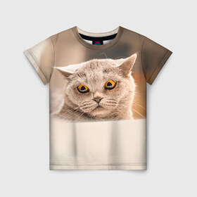 Детская футболка 3D с принтом Британец 7 в Петрозаводске, 100% гипоаллергенный полиэфир | прямой крой, круглый вырез горловины, длина до линии бедер, чуть спущенное плечо, ткань немного тянется | британец | британская | британцы | кот | котенок | котик | котэ | кошка