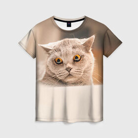 Женская футболка 3D с принтом Британец 7 в Петрозаводске, 100% полиэфир ( синтетическое хлопкоподобное полотно) | прямой крой, круглый вырез горловины, длина до линии бедер | британец | британская | британцы | кот | котенок | котик | котэ | кошка