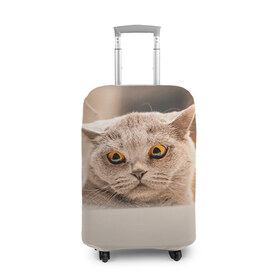 Чехол для чемодана 3D с принтом Британец 7 в Петрозаводске, 86% полиэфир, 14% спандекс | двустороннее нанесение принта, прорези для ручек и колес | британец | британская | британцы | кот | котенок | котик | котэ | кошка