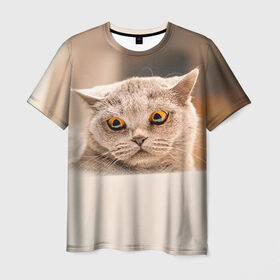 Мужская футболка 3D с принтом Британец 7 в Петрозаводске, 100% полиэфир | прямой крой, круглый вырез горловины, длина до линии бедер | Тематика изображения на принте: британец | британская | британцы | кот | котенок | котик | котэ | кошка