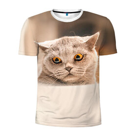 Мужская футболка 3D спортивная с принтом Британец 7 в Петрозаводске, 100% полиэстер с улучшенными характеристиками | приталенный силуэт, круглая горловина, широкие плечи, сужается к линии бедра | Тематика изображения на принте: британец | британская | британцы | кот | котенок | котик | котэ | кошка