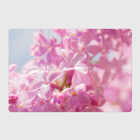 Магнитный плакат 3Х2 с принтом Душистая сирень в Петрозаводске, Полимерный материал с магнитным слоем | 6 деталей размером 9*9 см | лепестки | прикольные картинки | сирень | цветение | цветочки | цветы