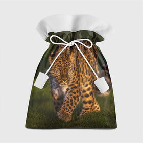 Подарочный 3D мешок с принтом Дальневосточный леопард в Петрозаводске, 100% полиэстер | Размер: 29*39 см | Тематика изображения на принте: дикая кошка | леопард | природа | хищник