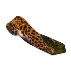 Галстук 3D с принтом Дальневосточный леопард в Петрозаводске, 100% полиэстер | Длина 148 см; Плотность 150-180 г/м2 | Тематика изображения на принте: дикая кошка | леопард | природа | хищник