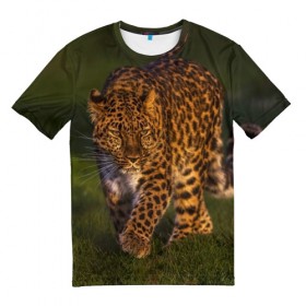 Мужская футболка 3D с принтом Дальневосточный леопард в Петрозаводске, 100% полиэфир | прямой крой, круглый вырез горловины, длина до линии бедер | Тематика изображения на принте: дикая кошка | леопард | природа | хищник