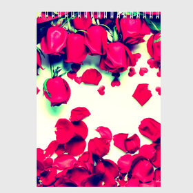 Скетчбук с принтом Розовые розы в Петрозаводске, 100% бумага
 | 48 листов, плотность листов — 100 г/м2, плотность картонной обложки — 250 г/м2. Листы скреплены сверху удобной пружинной спиралью | лепестки | цветы