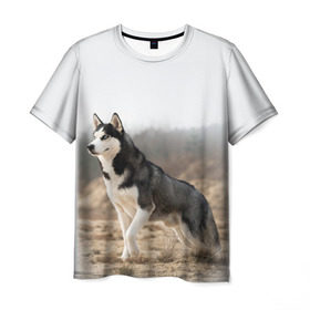Мужская футболка 3D с принтом Хаски в Петрозаводске, 100% полиэфир | прямой крой, круглый вырез горловины, длина до линии бедер | Тематика изображения на принте: dog | husky | siberia | север | сибирь | собака | хаски