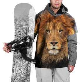 Накидка на куртку 3D с принтом Красавец лев в Петрозаводске, 100% полиэстер |  | Тематика изображения на принте: lion | грива | дикая кошка | добыча | животное | зверь | клыки | когти | король джунглей | лев | мясо | хищник | царь зверей