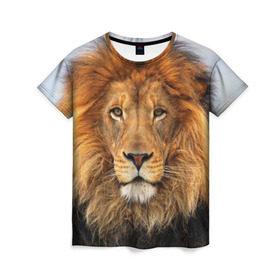 Женская футболка 3D с принтом Красавец лев в Петрозаводске, 100% полиэфир ( синтетическое хлопкоподобное полотно) | прямой крой, круглый вырез горловины, длина до линии бедер | lion | грива | дикая кошка | добыча | животное | зверь | клыки | когти | король джунглей | лев | мясо | хищник | царь зверей