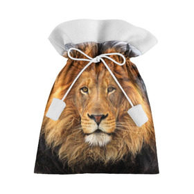 Подарочный 3D мешок с принтом Красавец лев в Петрозаводске, 100% полиэстер | Размер: 29*39 см | lion | грива | дикая кошка | добыча | животное | зверь | клыки | когти | король джунглей | лев | мясо | хищник | царь зверей