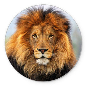 Коврик круглый с принтом Красавец лев в Петрозаводске, резина и полиэстер | круглая форма, изображение наносится на всю лицевую часть | lion | грива | дикая кошка | добыча | животное | зверь | клыки | когти | король джунглей | лев | мясо | хищник | царь зверей