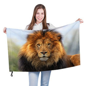 Флаг 3D с принтом Красавец лев в Петрозаводске, 100% полиэстер | плотность ткани — 95 г/м2, размер — 67 х 109 см. Принт наносится с одной стороны | Тематика изображения на принте: lion | грива | дикая кошка | добыча | животное | зверь | клыки | когти | король джунглей | лев | мясо | хищник | царь зверей