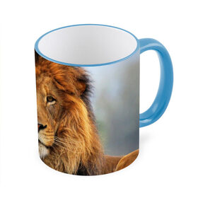Кружка 3D с принтом Красавец лев в Петрозаводске, керамика | ёмкость 330 мл | lion | грива | дикая кошка | добыча | животное | зверь | клыки | когти | король джунглей | лев | мясо | хищник | царь зверей
