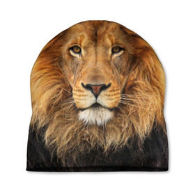 Шапка 3D с принтом Красавец лев в Петрозаводске, 100% полиэстер | универсальный размер, печать по всей поверхности изделия | lion | грива | дикая кошка | добыча | животное | зверь | клыки | когти | король джунглей | лев | мясо | хищник | царь зверей