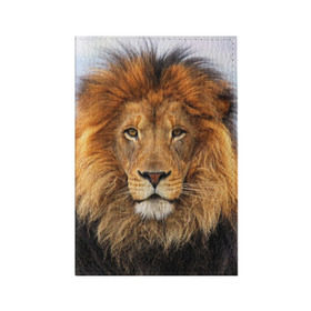 Обложка для паспорта матовая кожа с принтом Красавец лев в Петрозаводске, натуральная матовая кожа | размер 19,3 х 13,7 см; прозрачные пластиковые крепления | lion | грива | дикая кошка | добыча | животное | зверь | клыки | когти | король джунглей | лев | мясо | хищник | царь зверей