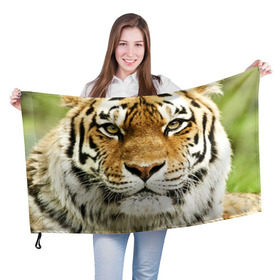 Флаг 3D с принтом Амурский тигр в Петрозаводске, 100% полиэстер | плотность ткани — 95 г/м2, размер — 67 х 109 см. Принт наносится с одной стороны | амурский | дикая кошка | добыча | животное | зверь | клыки | когти | мясо | тигр | уссурийский | хищник