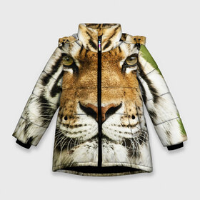 Зимняя куртка для девочек 3D с принтом Амурский тигр в Петрозаводске, ткань верха — 100% полиэстер; подклад — 100% полиэстер, утеплитель — 100% полиэстер. | длина ниже бедра, удлиненная спинка, воротник стойка и отстегивающийся капюшон. Есть боковые карманы с листочкой на кнопках, утяжки по низу изделия и внутренний карман на молнии. 

Предусмотрены светоотражающий принт на спинке, радужный светоотражающий элемент на пуллере молнии и на резинке для утяжки. | Тематика изображения на принте: амурский | дикая кошка | добыча | животное | зверь | клыки | когти | мясо | тигр | уссурийский | хищник