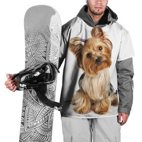 Накидка на куртку 3D с принтом Красотка в Петрозаводске, 100% полиэстер |  | Тематика изображения на принте: fashion | животное | красавица | лучший друг | модница | няша | причёска | собака | собачка | щенок | щеночек