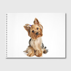Альбом для рисования с принтом Красотка в Петрозаводске, 100% бумага
 | матовая бумага, плотность 200 мг. | fashion | животное | красавица | лучший друг | модница | няша | причёска | собака | собачка | щенок | щеночек