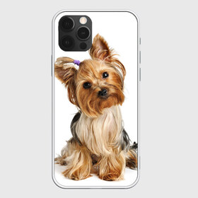 Чехол для iPhone 12 Pro Max с принтом Красотка в Петрозаводске, Силикон |  | fashion | животное | красавица | лучший друг | модница | няша | причёска | собака | собачка | щенок | щеночек