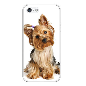 Чехол для iPhone 5/5S матовый с принтом Красотка в Петрозаводске, Силикон | Область печати: задняя сторона чехла, без боковых панелей | fashion | животное | красавица | лучший друг | модница | няша | причёска | собака | собачка | щенок | щеночек
