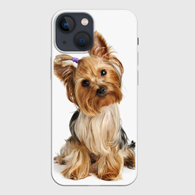 Чехол для iPhone 13 mini с принтом Красотка в Петрозаводске,  |  | fashion | животное | красавица | лучший друг | модница | няша | причёска | собака | собачка | щенок | щеночек