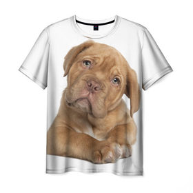 Мужская футболка 3D с принтом Грустный щенок в Петрозаводске, 100% полиэфир | прямой крой, круглый вырез горловины, длина до линии бедер | животное | лучший друг | милаха | няша | собака | собачка | щенок | щеночек