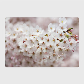 Магнитный плакат 3Х2 с принтом Весеннее цветение в Петрозаводске, Полимерный материал с магнитным слоем | 6 деталей размером 9*9 см | Тематика изображения на принте: белый | весна | лепестки | прикольные картинки | цветочки | цветы