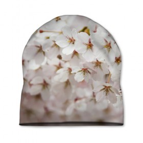 Шапка 3D с принтом Весеннее цветение в Петрозаводске, 100% полиэстер | универсальный размер, печать по всей поверхности изделия | белый | весна | лепестки | прикольные картинки | цветочки | цветы
