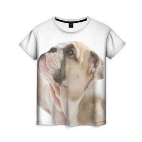 Женская футболка 3D с принтом Бульдог в Петрозаводске, 100% полиэфир ( синтетическое хлопкоподобное полотно) | прямой крой, круглый вырез горловины, длина до линии бедер | бульдог | бульдоги | мопс | мопсы | песик | песики | собака | собаки