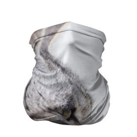 Бандана-труба 3D с принтом Серый кот в Петрозаводске, 100% полиэстер, ткань с особыми свойствами — Activecool | плотность 150‒180 г/м2; хорошо тянется, но сохраняет форму | взгляд | глаза | голова животного | киска | кот | котёнок | кошка | прикольные картинки