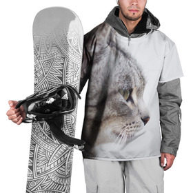 Накидка на куртку 3D с принтом Серый кот в Петрозаводске, 100% полиэстер |  | взгляд | глаза | голова животного | киска | кот | котёнок | кошка | прикольные картинки