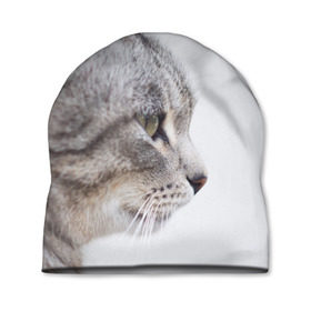 Шапка 3D с принтом Серый кот в Петрозаводске, 100% полиэстер | универсальный размер, печать по всей поверхности изделия | Тематика изображения на принте: взгляд | глаза | голова животного | киска | кот | котёнок | кошка | прикольные картинки