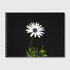 Альбом для рисования с принтом Цветок счастья в Петрозаводске, 100% бумага
 | матовая бумага, плотность 200 мг. | лепестки | прикольные картинки | цветочки | цветы