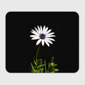 Коврик прямоугольный с принтом Цветок счастья в Петрозаводске, натуральный каучук | размер 230 х 185 мм; запечатка лицевой стороны | лепестки | прикольные картинки | цветочки | цветы