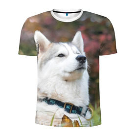 Мужская футболка 3D спортивная с принтом Хаски в Петрозаводске, 100% полиэстер с улучшенными характеристиками | приталенный силуэт, круглая горловина, широкие плечи, сужается к линии бедра | лайка | маламут | песик | песики | собака | собаки | хаски