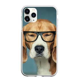 Чехол для iPhone 11 Pro матовый с принтом Бигль в Петрозаводске, Силикон |  | Тематика изображения на принте: бигль | гончая | дворняжка | охотничья | песик | песики | собака | собаки
