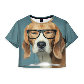 Женская футболка 3D укороченная с принтом Бигль в Петрозаводске, 100% полиэстер | круглая горловина, длина футболки до линии талии, рукава с отворотами | бигль | гончая | дворняжка | охотничья | песик | песики | собака | собаки