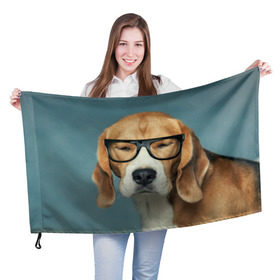 Флаг 3D с принтом Бигль в Петрозаводске, 100% полиэстер | плотность ткани — 95 г/м2, размер — 67 х 109 см. Принт наносится с одной стороны | бигль | гончая | дворняжка | охотничья | песик | песики | собака | собаки