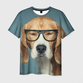 Мужская футболка 3D с принтом Бигль в Петрозаводске, 100% полиэфир | прямой крой, круглый вырез горловины, длина до линии бедер | бигль | гончая | дворняжка | охотничья | песик | песики | собака | собаки