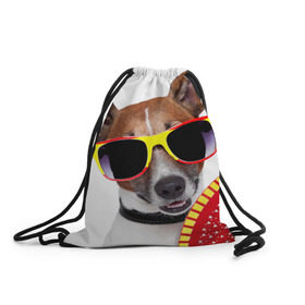 Рюкзак-мешок 3D с принтом Джек Рассел с веером в Петрозаводске, 100% полиэстер | плотность ткани — 200 г/м2, размер — 35 х 45 см; лямки — толстые шнурки, застежка на шнуровке, без карманов и подкладки | джек рассел | песик | песики | собака | собаки | терьер